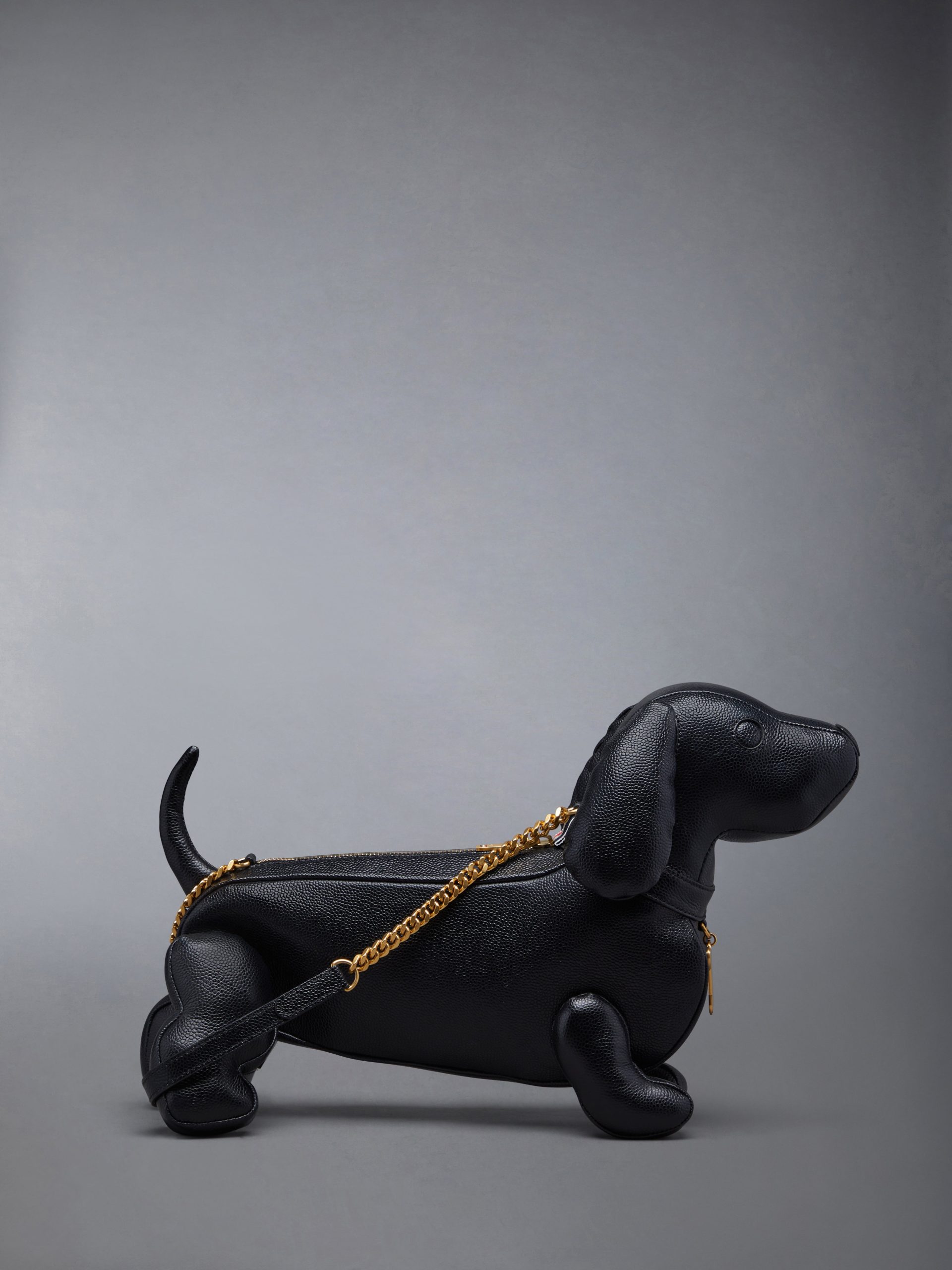 MINI HECTOR CHAIN BAG IN PEBBLE GRAIN - Image 3