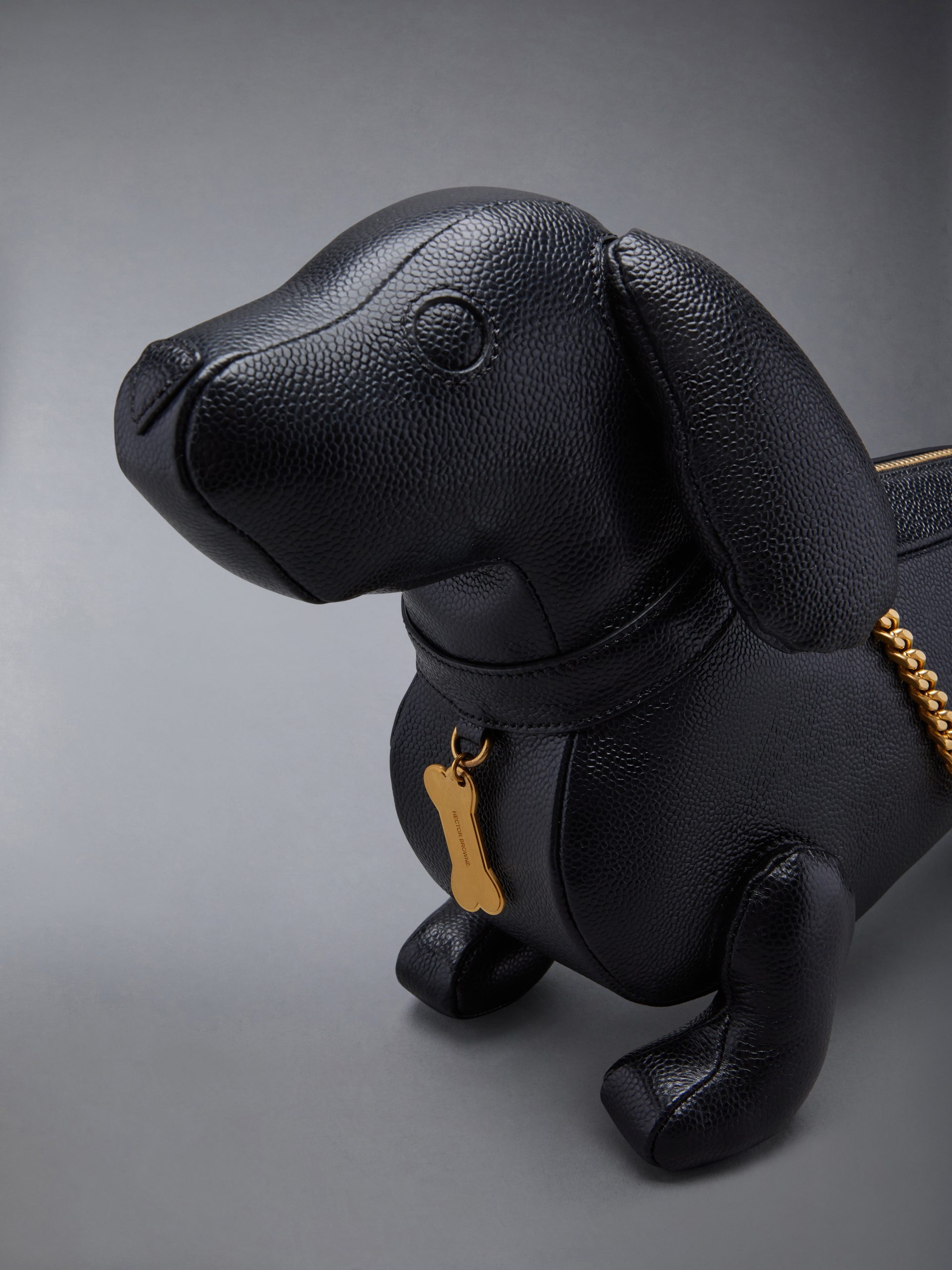 MINI HECTOR CHAIN BAG IN PEBBLE GRAIN - Image 6