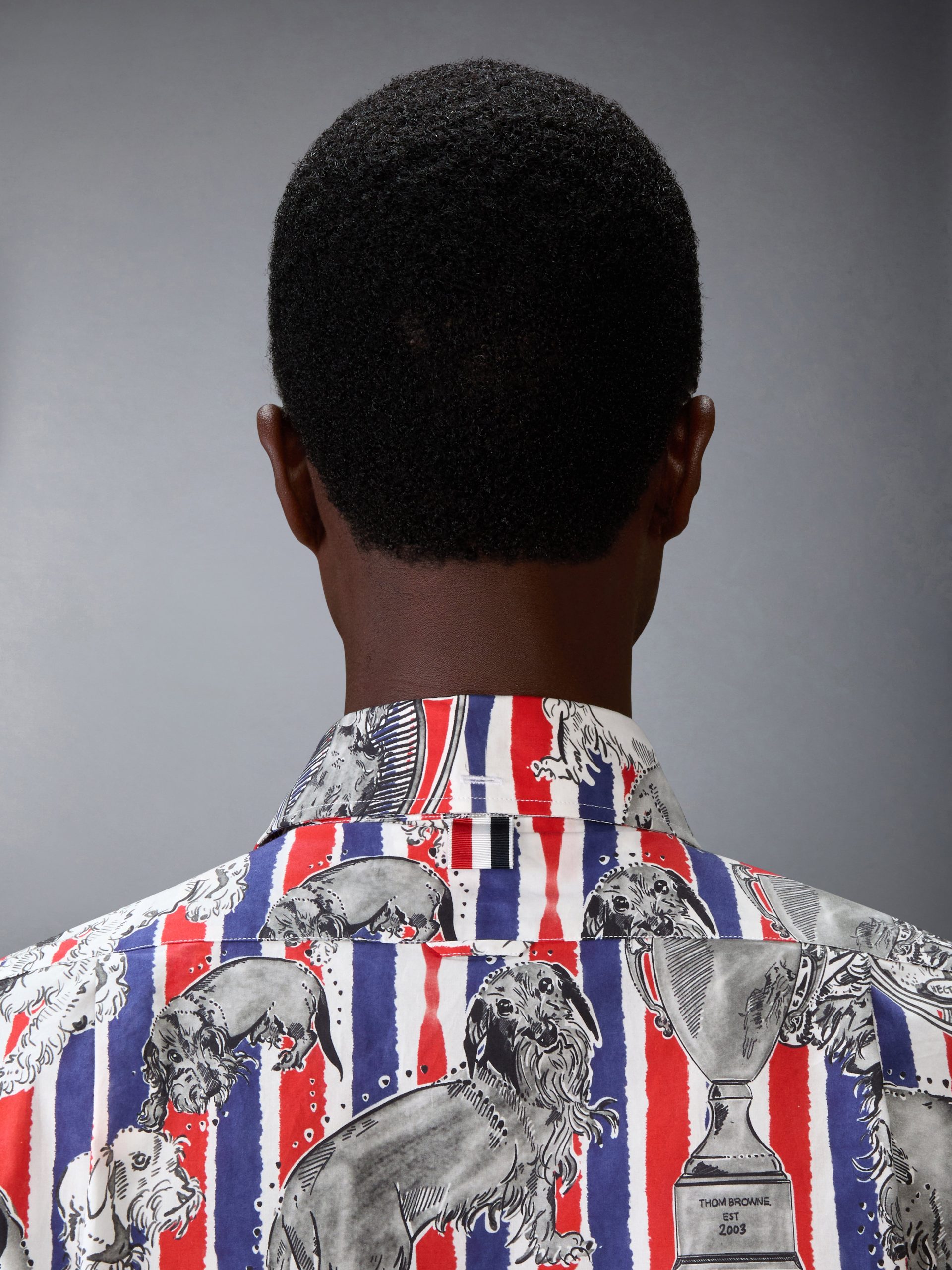POPLIN HECTOR TOILE SHIRT - Image 6